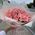 Gift bouquet of roses 5