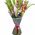 Bouquet of live gladiolus