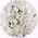 101 white peonies