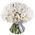 101 white peonies