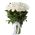 51 white peonies