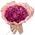 51 hot pink peony