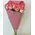 1 pink roses Jumilia - type 1