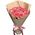 11 pink Jumilia roses
