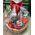 Luxurious men's basket with beer - photo 1