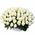 Basket 101 white roses