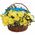 Yellow-blue flowers in a basket