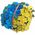 Yellow-blue flowers in a basket - photo 2
