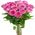 Bouquet of 17 roses