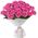 25 pink roses