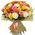51 multi-colored rose