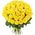 51 yellow rose