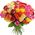51 multi-colored rose