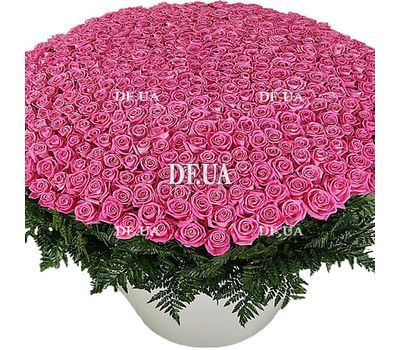 1001 розовая роза