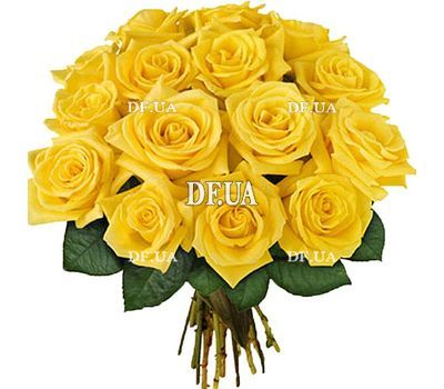 15 yellow roses