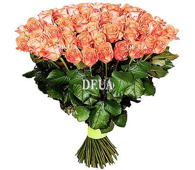 151 coral rose Wow