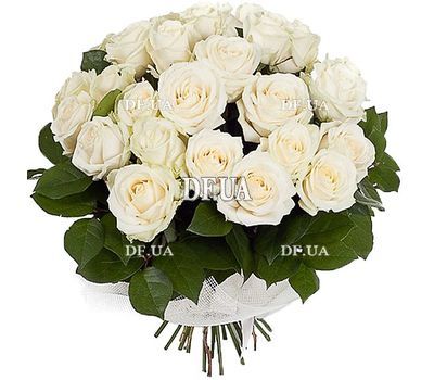 31 white rose