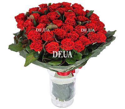 47 red roses