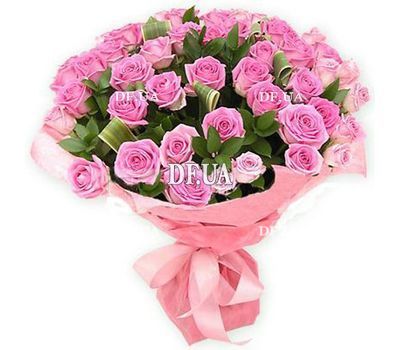 55 pink roses
