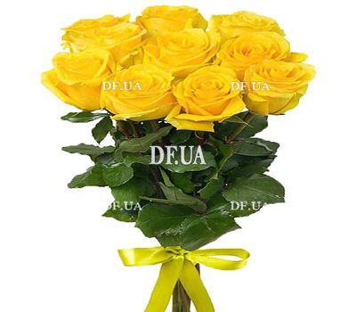 11 yellow roses