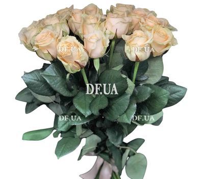 25 cream-colored roses