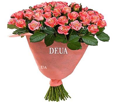 51 Rose Miss Piggy