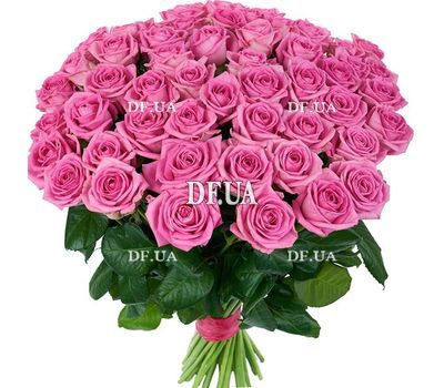 51 pink roses