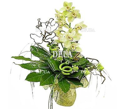 Bouquet for the chief of the man