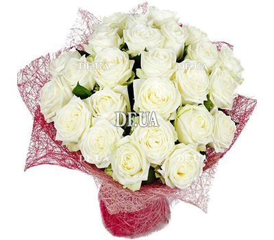 25 white roses