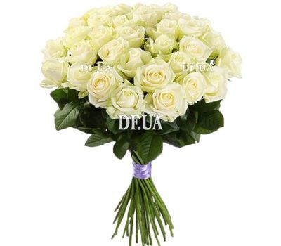 25 white roses