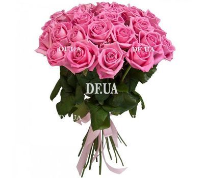 25 pink roses