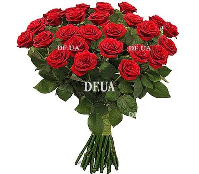33 red roses