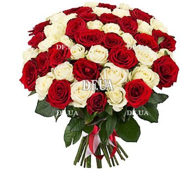 45 red and white roses