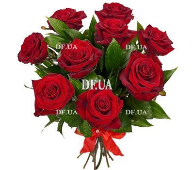9 red roses