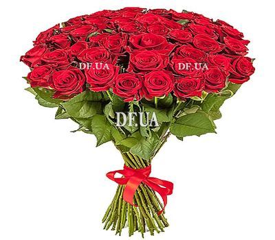 55 red roses