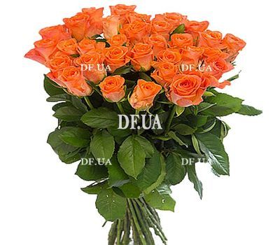 55 orange roses
