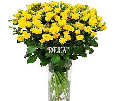Bouquet of yellow bush roses