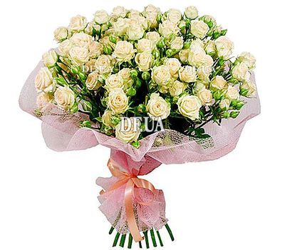 Flowers rose bush