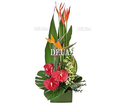 Men`s flowers