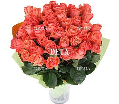 33 orange roses