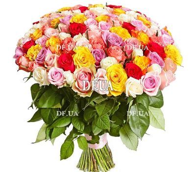The most beautiful bouquet of roses