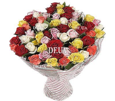 61 multi-colored rose