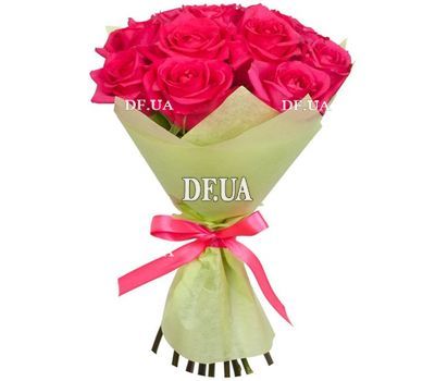 11 Dutch pink roses