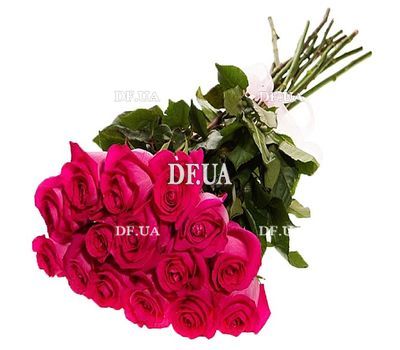 15 imported roses 80 cm