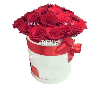 Scarlet roses in a round box