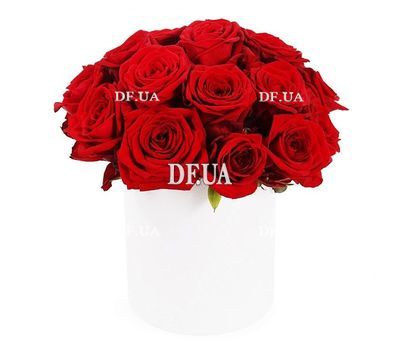 Bordeaux roses in a round box