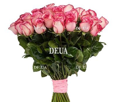 Bouquet of Dutch roses Blash (Blush)