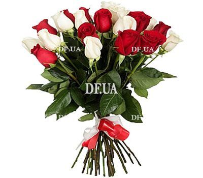 Bouquet of 23 import roses