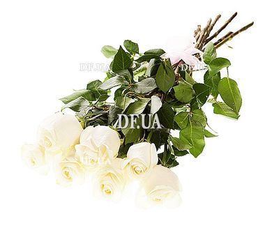 Bouquet of 7 imported white roses