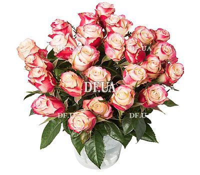 Bouquet of white-red roses